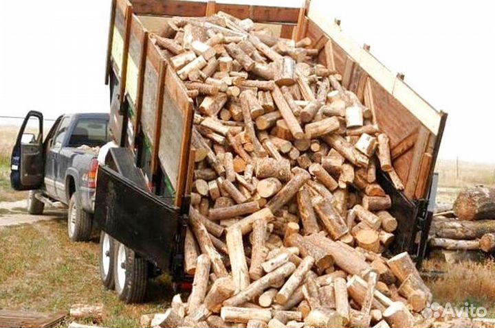 Дрова с Выборга