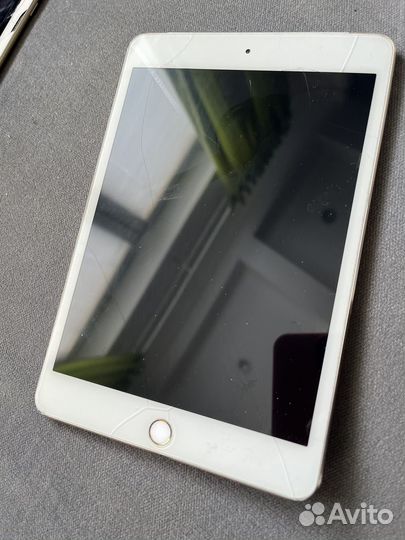 iPad mini 4 cellular