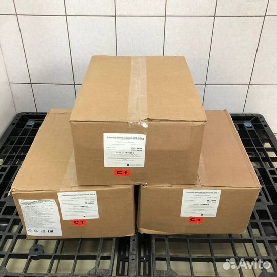 Креветка Аргентинская