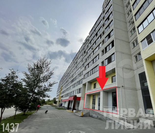 Сдам помещение свободного назначения, 135 м²