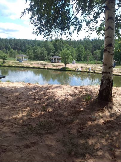 Участок 12 сот. (СНТ, ДНП)