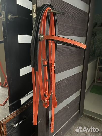 Новые гелевые уздечки