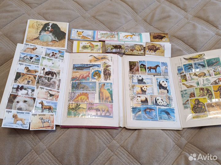 Почтовые марки СССР собаки,другие животные,рыбы