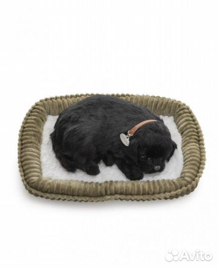 Щенок лабрадора с дыханием Perfect Petzzz