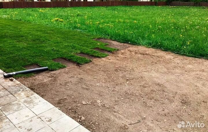 Рулонный газон под ключ