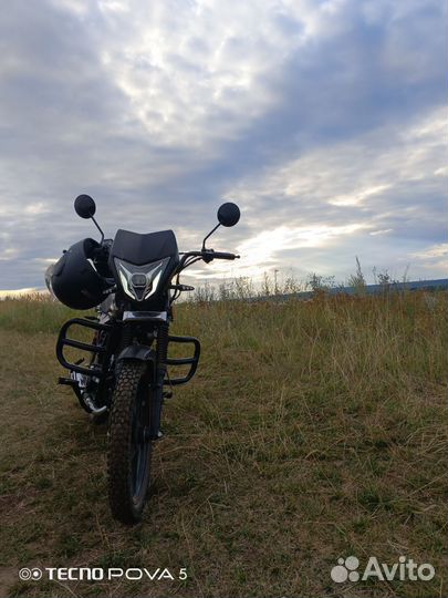 Продаю альфу