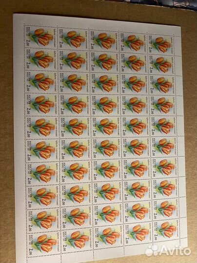 Россия 2001, Флора. 657-661, серия из 5 листов