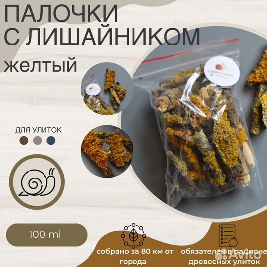 Товары для улиток