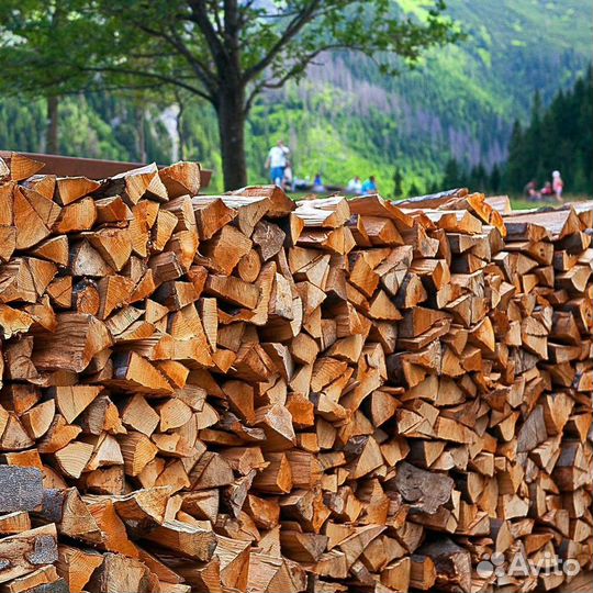 Дрова сухие