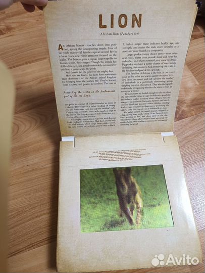 Книга на английском