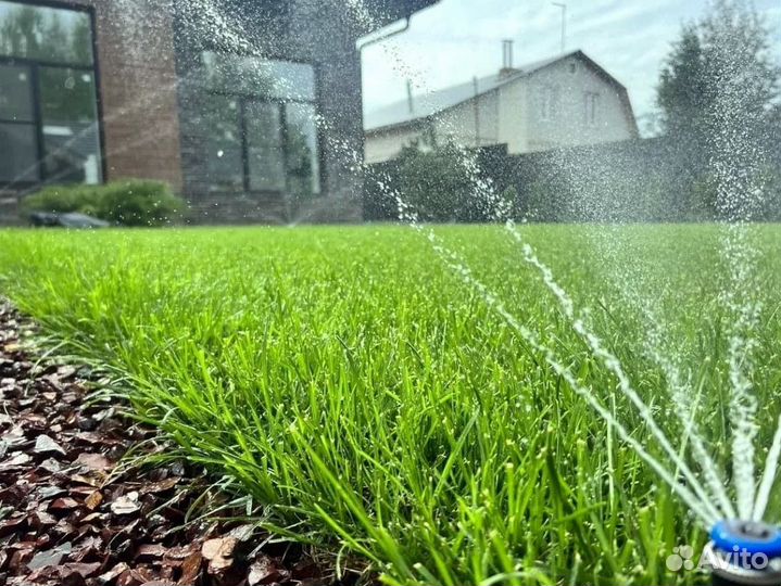 Рулонный газон живой