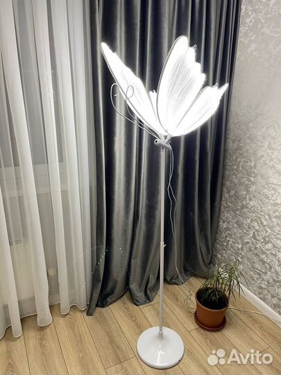 Бабочки в аренду