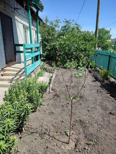 Дом 77,4 м² на участке 6 сот.