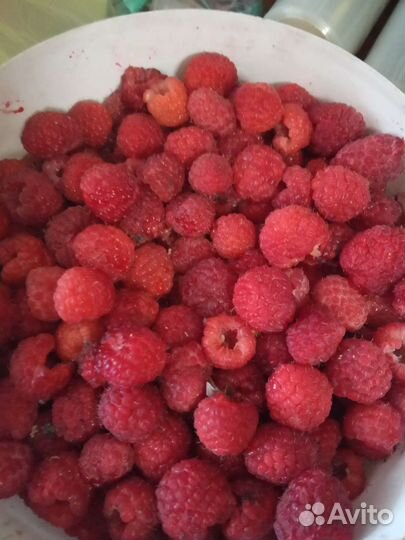 Малина, смородина