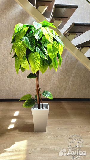 Искусственные растения