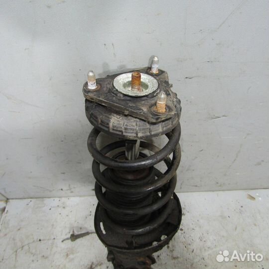 Амортизатор передний правый honda Civic 5D 2006-2