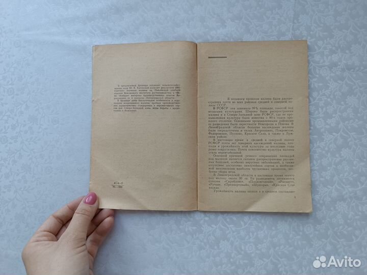 Ю.К. Катинская Малина 1968 год