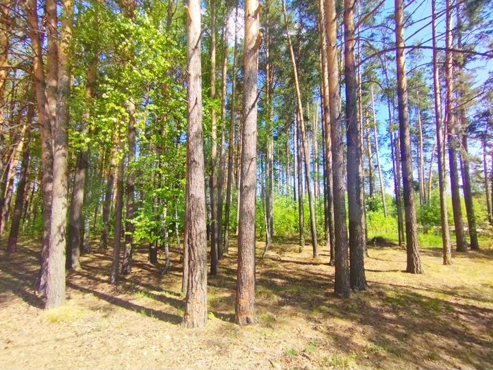 Участок 9 сот. (ИЖС)