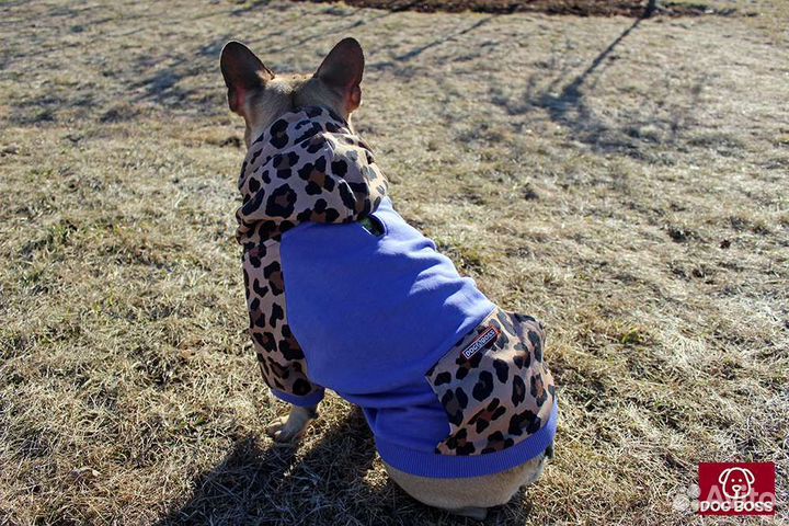 Одежда для собак