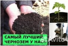 Чернозем. Земля. Грунт. Перегной. Навоз