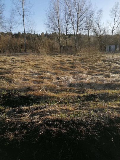 Участок 5 сот. (СНТ, ДНП)