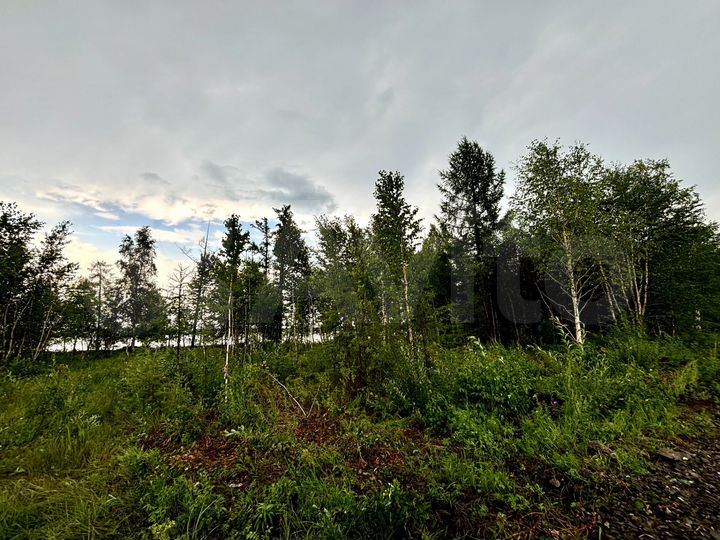 Участок 10 сот. (СНТ, ДНП)