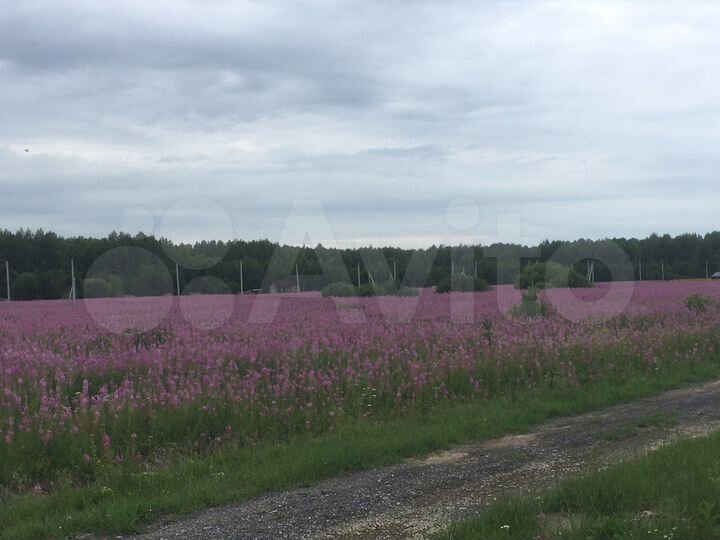 Участок 10 сот. (ИЖС)