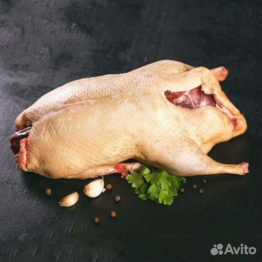 Фермерское Мясо утки мулард