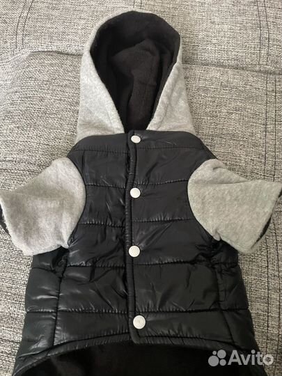 Зимняя одежда для собак