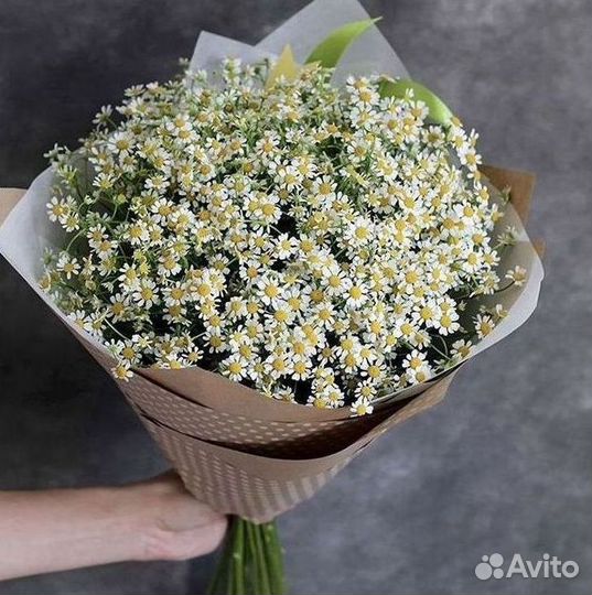 Ромашки Пионы Розы Доставка