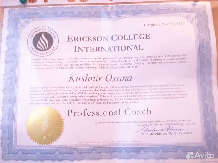 Коуч поиска решений