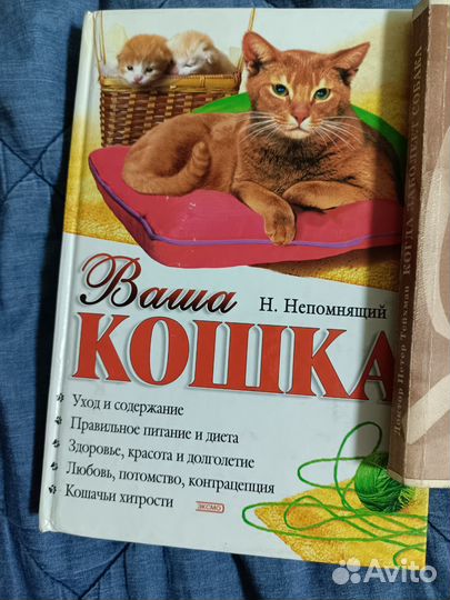 О домашних животных