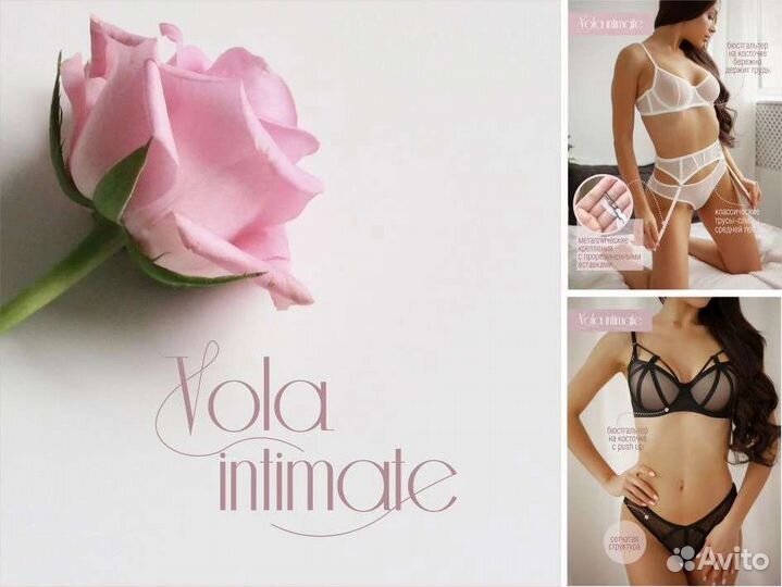 Разработка логотипа