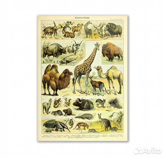 Картина на холсте