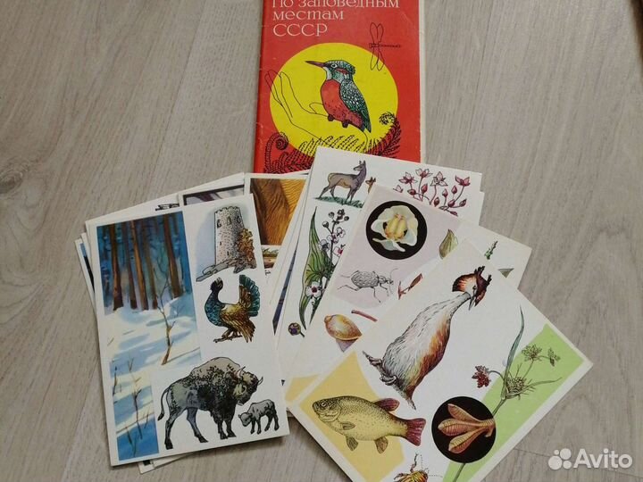 Открытки СССР