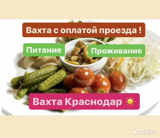 Упаковщики вахтой.Оплатим дорогу