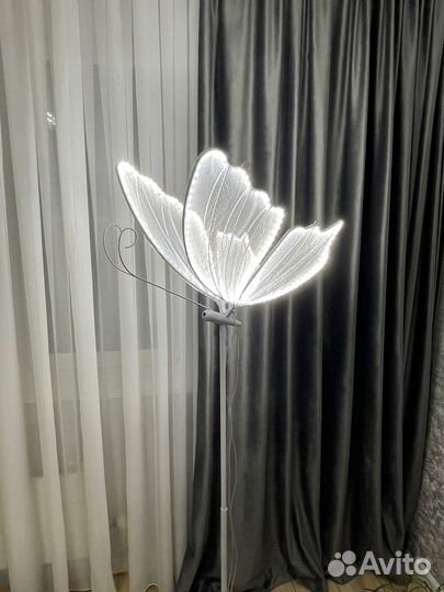 Бабочки в аренду