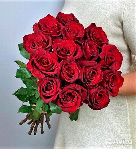 Букет из 15 роз красных №289