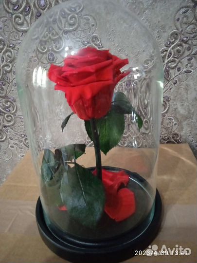 Вечная роза в колбе