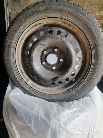 Белшина Artmotion Бел-262 205/55 R16