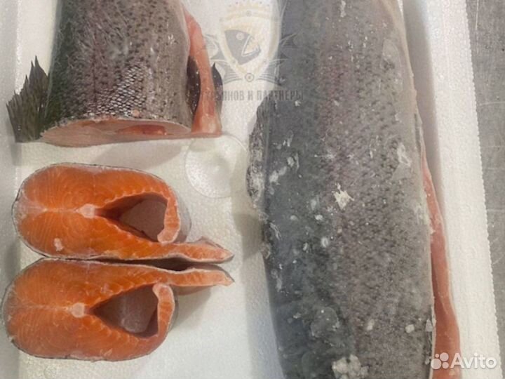 Форель килька обрезь лосося скумбрия горбуша оптом