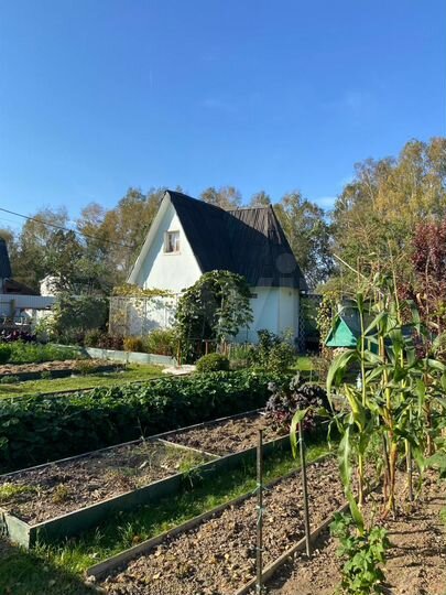 Дача 40 м² на участке 5 сот.