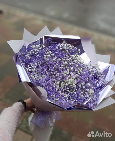 Гипсофила разных цветов