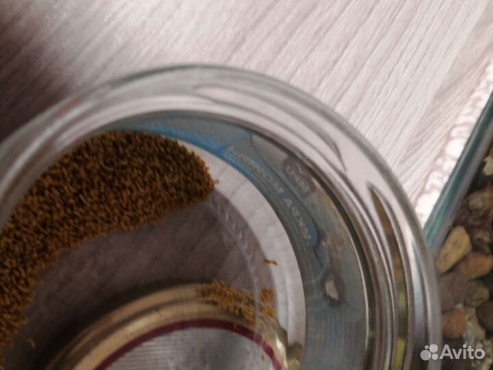 Аквариум на 5 литров отсадной