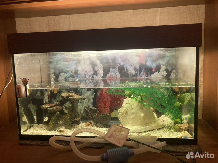 Аквариум