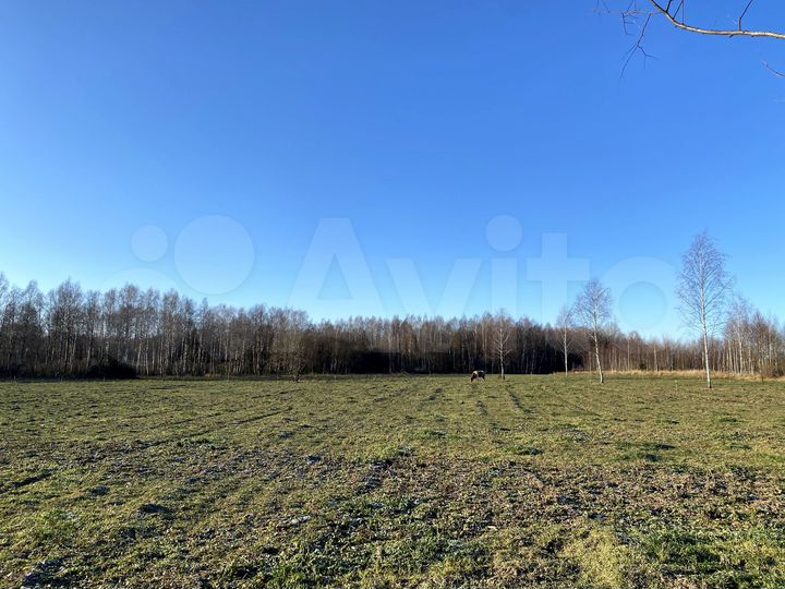 Участок 10 га (СНТ, ДНП)