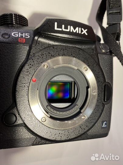 Panasonic gh5s body
