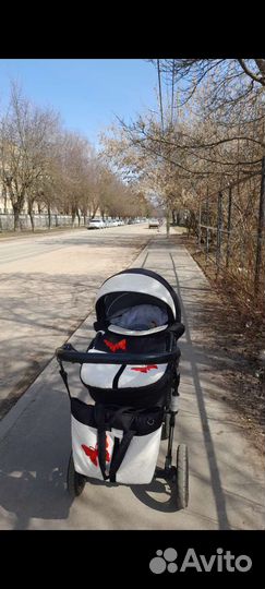 Коляска 3 в 1