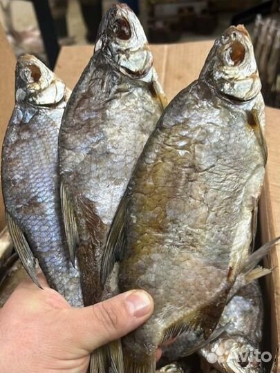 В наличии рыба вяленая, лещ плотва синец