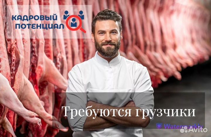 Грузчик на склад. Еженедельные выплаты